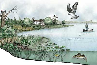 สื่อการสอนวิชาคอมพิวเตอร์ เรื่อง Microsoft Office Word 2007